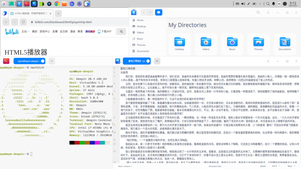 deepin 程序窗口