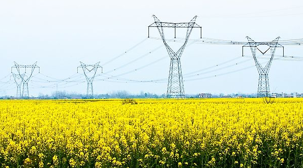 Parallel transmission lines