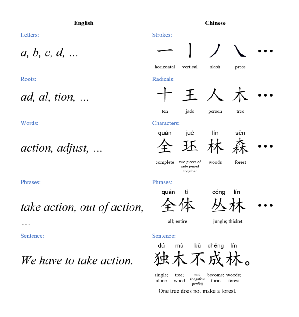 Compares letters, roots, words, phrases, and sentence in English with strokes, radicals, characters, phrases, and sentence in Chinese.